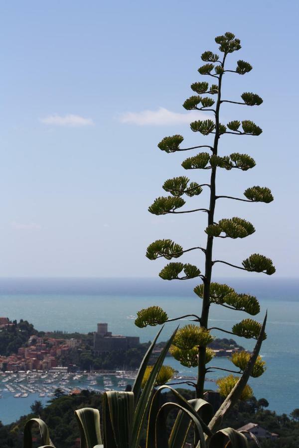 Agave Di Lerici Villa Exteriör bild